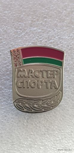 Мастер спорта Беларусь