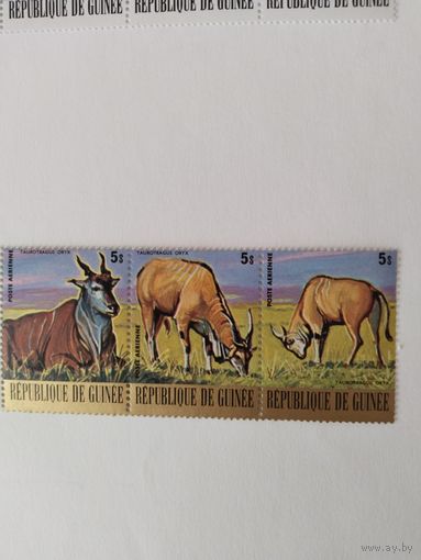 Гвинея  1977 3м сцепка  дикие животные