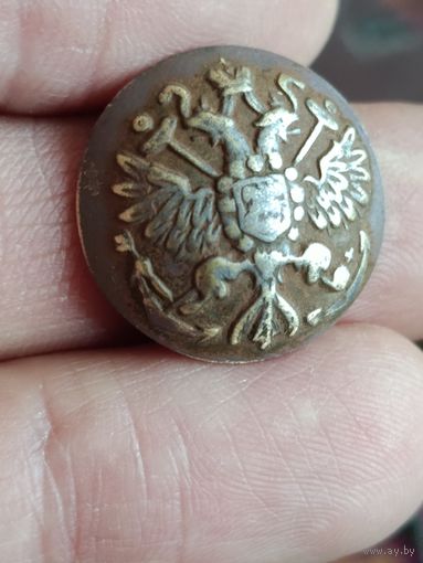 Ливрейка на якарях