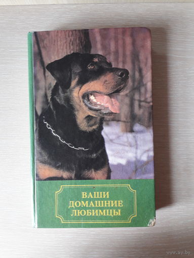 Ваши домашние любимцы. Собаки,кошки.