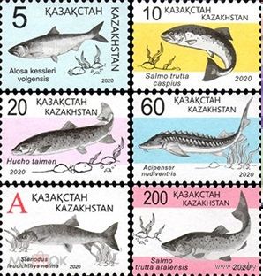 Казахстан Kazakstan 2020, (839) Стандарт. Фауна. Рыбы. Стандартный выпуск. Fauna. Fishes, 6 марок **