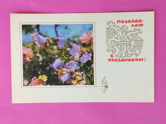 С праздником! Чистая. 1968 года. Тюрин. 2658.