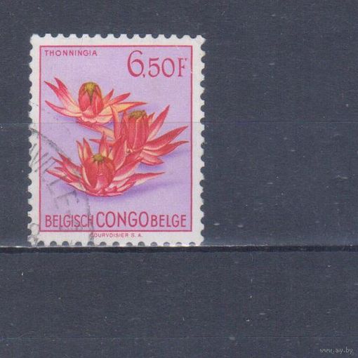 [1693] Бельгийские колонии. Конго 1952. Флора.Цветы. Гашеная марка.