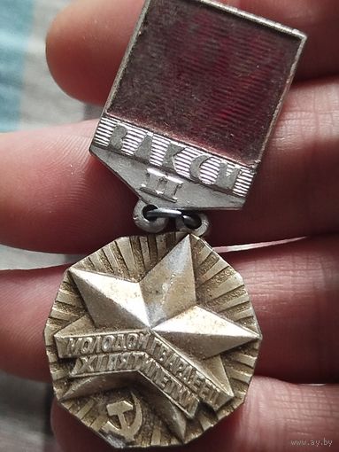 Молодой гвардеец 11 пятилетки