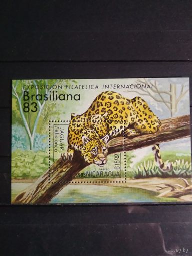 Никарагуа 1983 г. Дикая кошка.