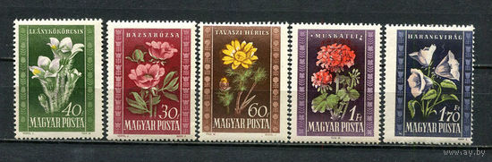 Венгрия - 1950 - Цветы - [Mi. 1112-1116] - полная серия - 5 марок. MLH.  (Лот 71HS)-TG3P12