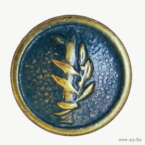 Пуговица Армии обороны Израиля 15 мм