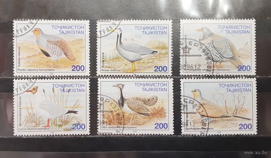 Таджикистан. 1995 год. Фауна. Птицы (1243)