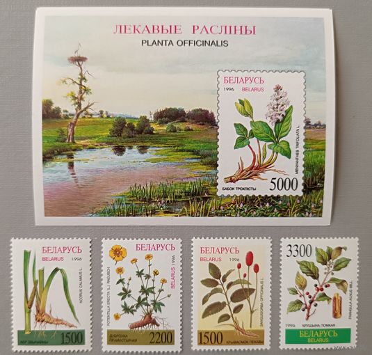 Беларусь, 1996. Лекарственные растения, блок+ марки