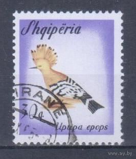 [125] Албания 1965. Фауна.Птицы.Удод. Гашеная марка.