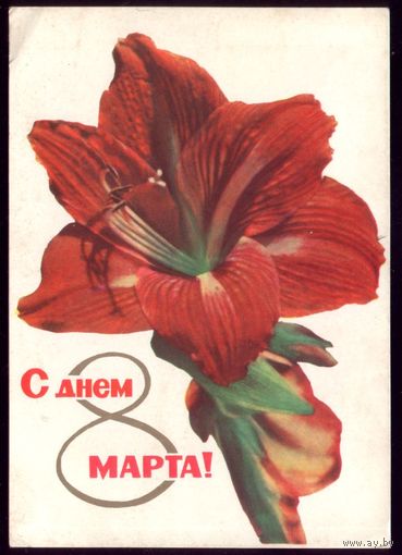 1965 год Ананьины С днём 8 марта!