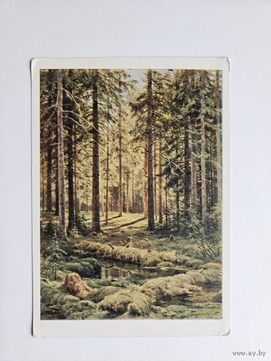 Шишкин 1963 репродукция Пейзаж