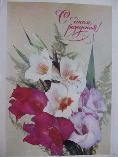С дн. рожд-ия  1982г.
