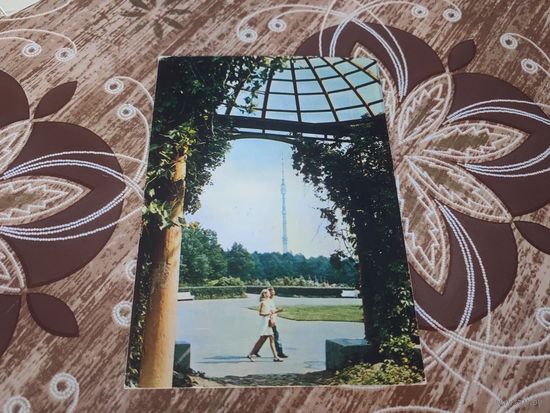 Открытка,ботанический сад,1973