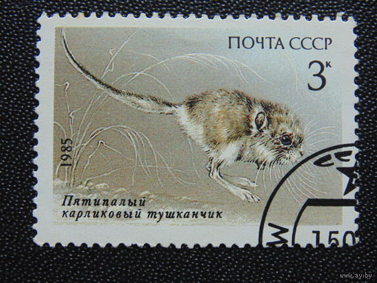 СССР 1985 г. Тушканчик.