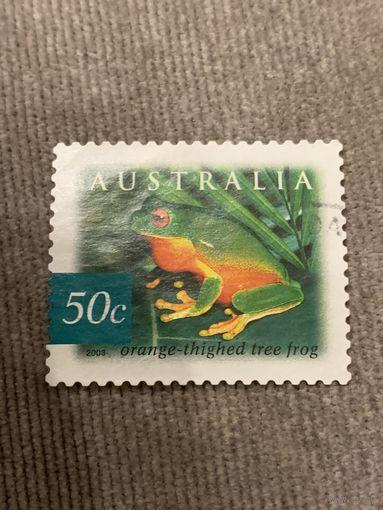 Австралия 2003. Лягушки. Orange-thighed tree frog. Марка из серии