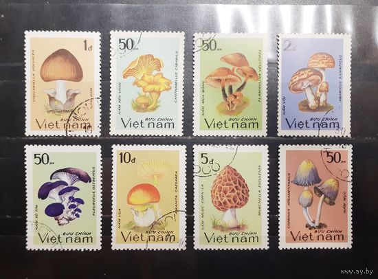 Вьетнам. Флора. Грибы (961)