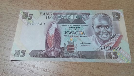 5 квача Замбии *191639