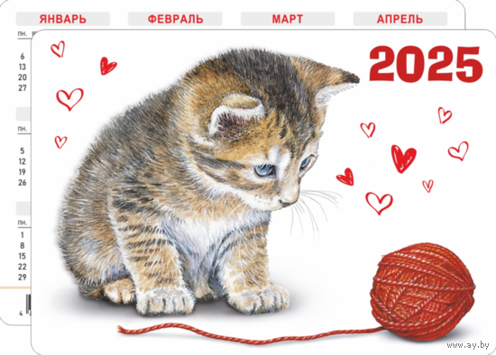 Карманный календарик. Котик. 2025 год