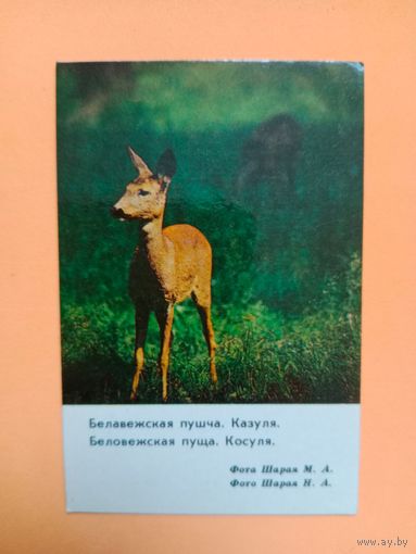 Календарик 1984