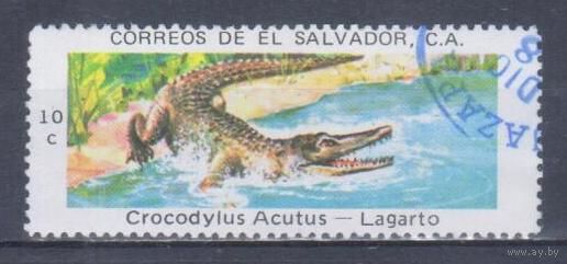 [865] Сальвадор 1976. Фауна.Рептилии.Крокодил. Гашеная марка.
