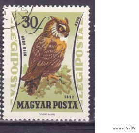Венгрия. 1962 год. Фауна Птицы. сова