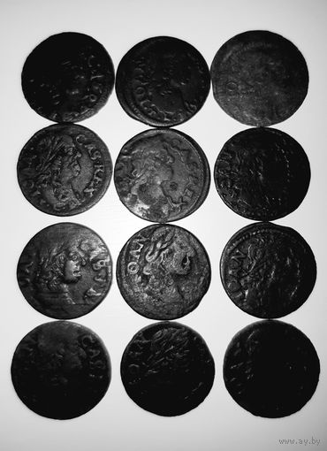 Баратинки сборка по разновидам