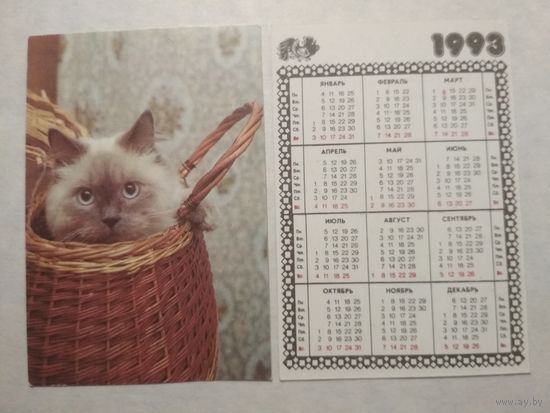 Карманный календарик. Котик.1993 год