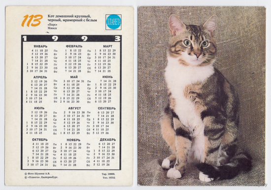 Календарь кот домашний N113 1993