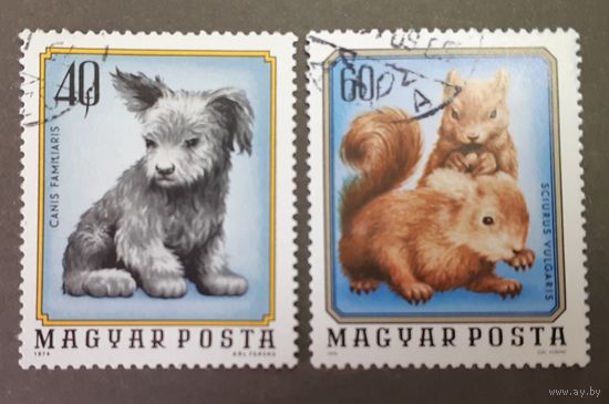 Марки. Венгрия. 1974 год. Фауна (2 марки из набора)