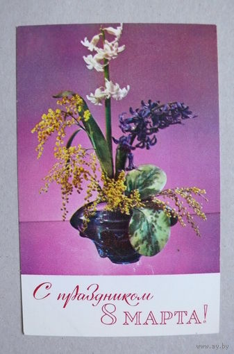 Шамшин К.(фото), С праздником 8 Марта! 1974, чистая.
