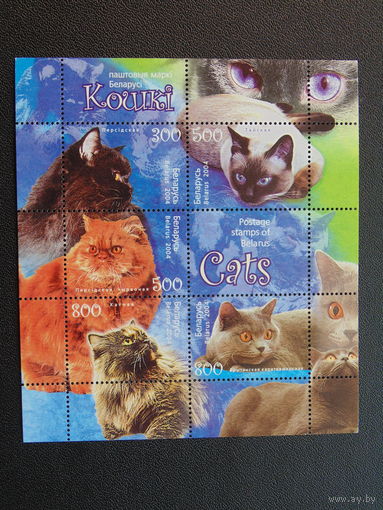 Беларусь 2004 год. Кошки.