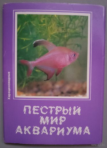 Пестрый мир аквариума. Харациновидные. Набор из 18 открыток. 1987г.