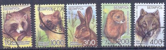 Беларусь стандарт 2008 фауна