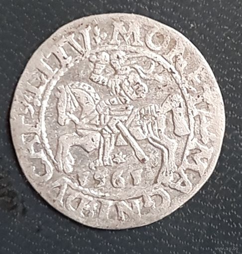 Полугрош 1561 года, ост.штемпельного блеска.
