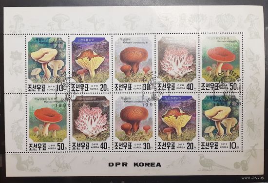 Корея. 1991 год. Флора. Грибы. Блок (сцепка 10 марок) (1023)