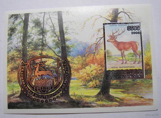 Надпечатка. Филвыставка в Гродно. Блок. 2006г.