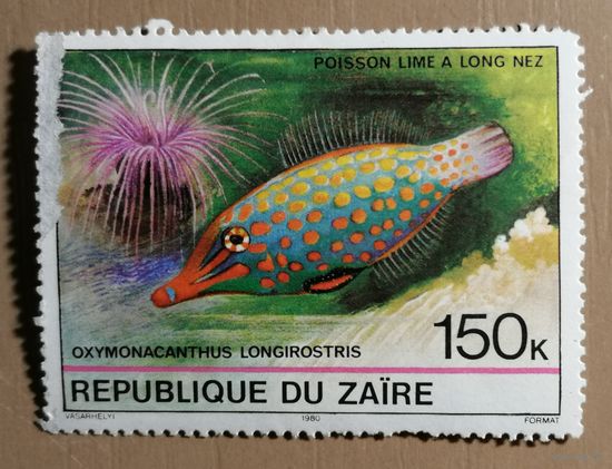 Марка Заир, фауна, рыба-арлекин, 1982г.