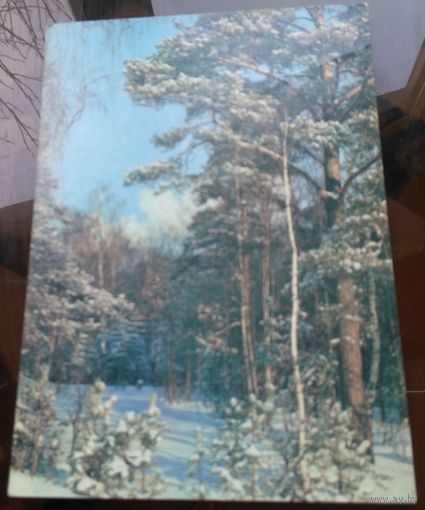 1989 год Н.Самсоненко Зимний день в сосновом лесу