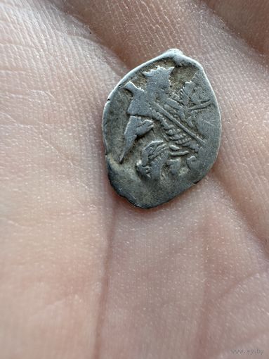 Копейка. Чешуйка.