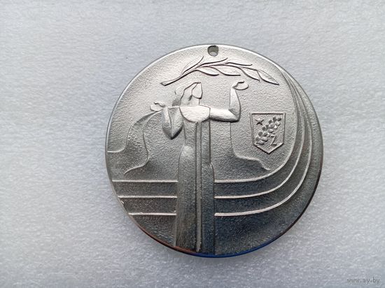 Медаль (тяжёлая)