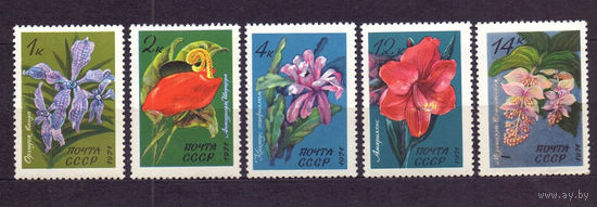 Марки СССР 1971 год. 4080-4084. Трапические растения. Полная серия из 5 марок. Чистая.