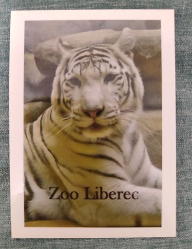 Карманный календарик Тигр