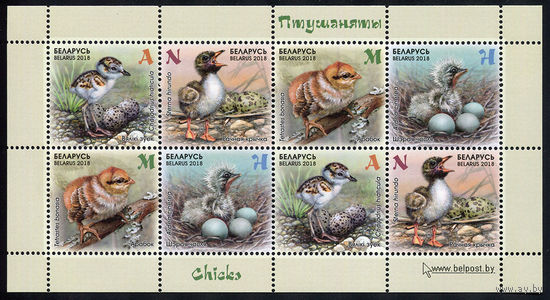 2018_Птенцы.