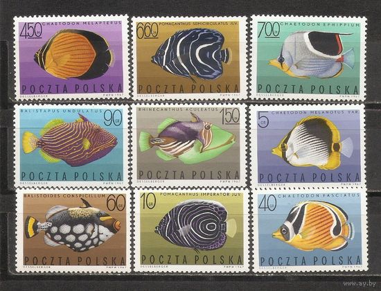 ФФ2 Польша 1967 Рыбы