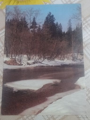Открытка. Весна. Фото О. Листопадова. 1990 год.