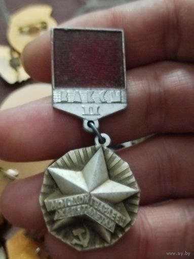 Молодой гвардеец 11 пятилетки