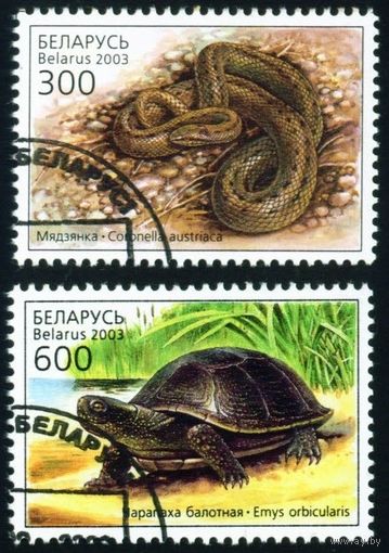 Рептилии Беларусь 2003 год (503-504) серия из 2-х марок