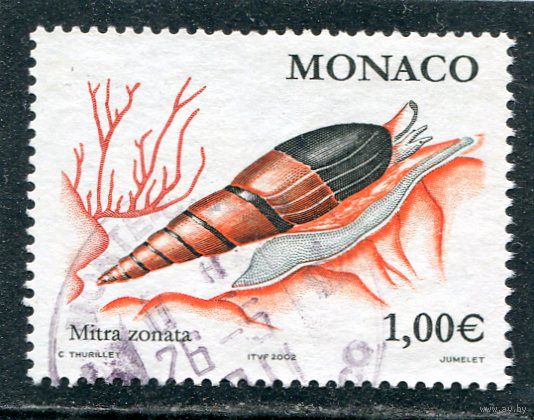 Монако. Фауна. Моллюски. Метро соната