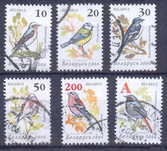 Беларусь стандарт птицы
